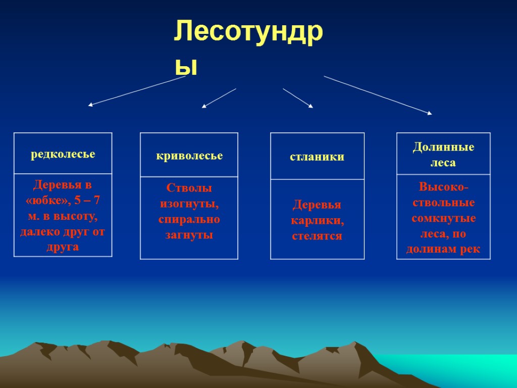 Лесотундры